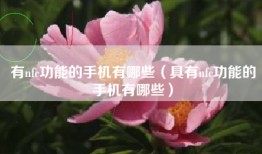 有nfc功能的手机有哪些（具有nfc功能的手机有哪些）