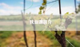 抚仙湖简介