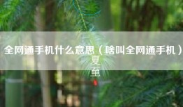 全网通手机什么意思（啥叫全网通手机）