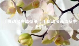 手机动漫高清壁纸（手机动漫高清壁纸全屏）