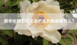 数字化转型对企业产生的影响是什么？