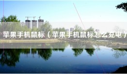 苹果手机鼠标（苹果手机鼠标怎么充电）