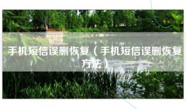 手机短信误删恢复（手机短信误删恢复方法）
