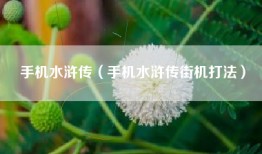 手机水浒传（手机水浒传街机打法）