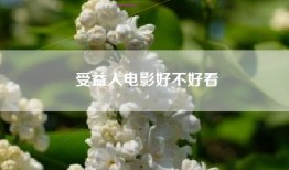 受益人电影好不好看