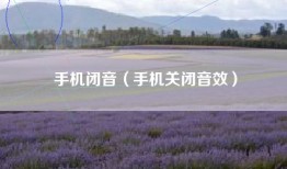 手机闭音（手机关闭音效）