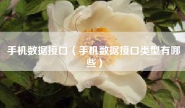 手机数据接口（手机数据接口类型有哪些）