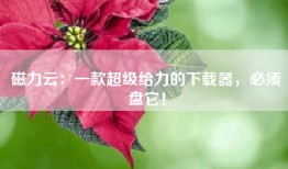 磁力云：一款超级给力的下载器，必须盘它！