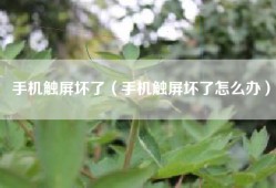 手机触屏坏了（手机触屏坏了怎么办）