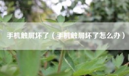手机触屏坏了（手机触屏坏了怎么办）
