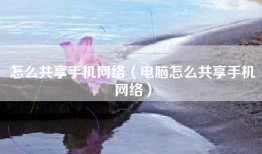怎么共享手机网络（电脑怎么共享手机网络）