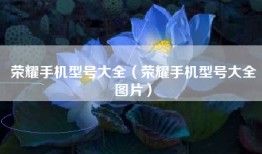荣耀手机型号大全（荣耀手机型号大全图片）