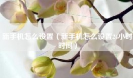 新手机怎么设置（新手机怎么设置24小时时间）