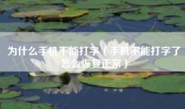 为什么手机不能打字(手机不能打字了怎么恢复正常)