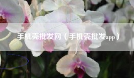 手机壳批发网（手机壳批发app）