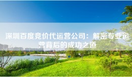 深圳百度竞价代运营公司：解密专业运营背后的成功之道