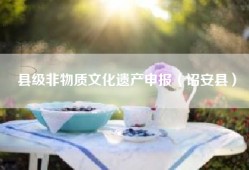 县级非物质文化遗产申报（诏安县）