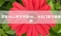 苹果iPhone终于开放NFC，小区门禁卡随便刷