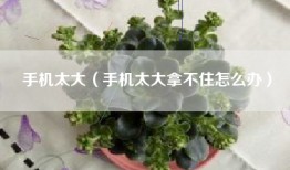 手机太大（手机太大拿不住怎么办）