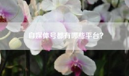 自媒体号都有哪些平台？