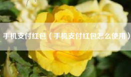 手机支付红包（手机支付红包怎么使用）