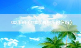 8888手机（8888手机号压得住吗）