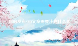 网站发布SEO文章需要注意什么呢