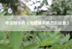 电话转手机（电话转手机怎么设置）
