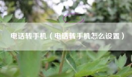 电话转手机（电话转手机怎么设置）
