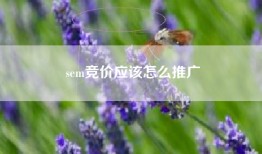sem竞价应该怎么推广