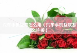 汽车手机互联怎么用（汽车手机互联怎么连接）