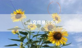 bmk文件是什么？