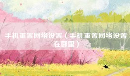 手机重置网络设置（手机重置网络设置在哪里）