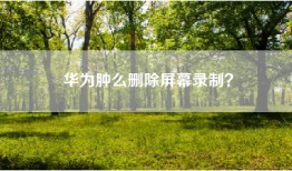 华为肿么删除屏幕录制？