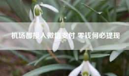 机场都接入微信支付 零钱何必提现
