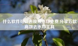 什么软件可以去视频水印免费,分享五款高效去水印工具
