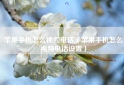 苹果手机怎么视频电话（苹果手机怎么视频电话设置）