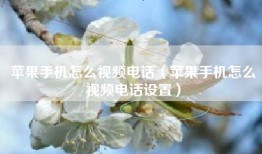 苹果手机怎么视频电话（苹果手机怎么视频电话设置）