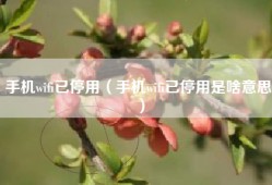 手机wifi已停用（手机wifi已停用是啥意思）