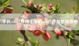 手机wifi已停用（手机wifi已停用是啥意思）