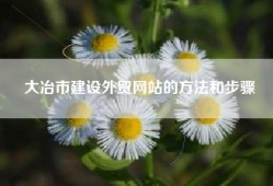大冶市建设外贸网站的方法和步骤