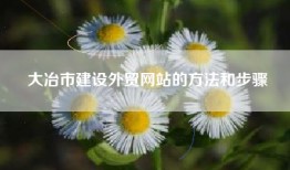 大冶市建设外贸网站的方法和步骤