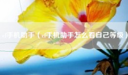 cf手机助手（cf手机助手怎么看自己等级）