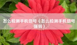 怎么检测手机信号（怎么检测手机信号强弱）