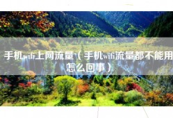 手机wifi上网流量（手机wifi流量都不能用怎么回事）