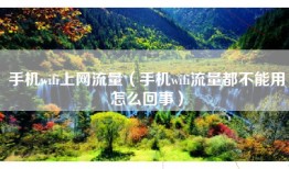 手机wifi上网流量（手机wifi流量都不能用怎么回事）