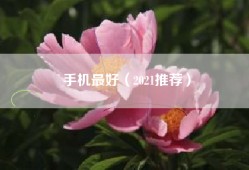手机最好（2021推荐）