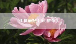 手机最好（2021推荐）