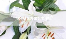 写文章在哪里发表挣钱