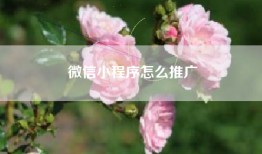 微信小程序怎么推广